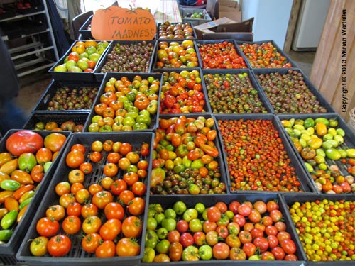 Heirloom tomatoes at season's peak