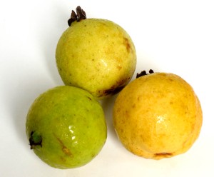 guavas